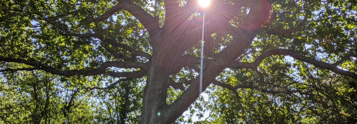 Make your business a mindful one
