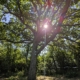 Make your business a mindful one